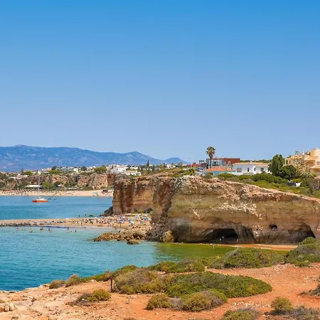 Gaivota 1c Ferragudo (Faro)
